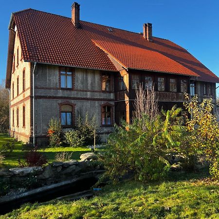 Willa Pod Zegarem Stara Kamienica Zewnętrze zdjęcie